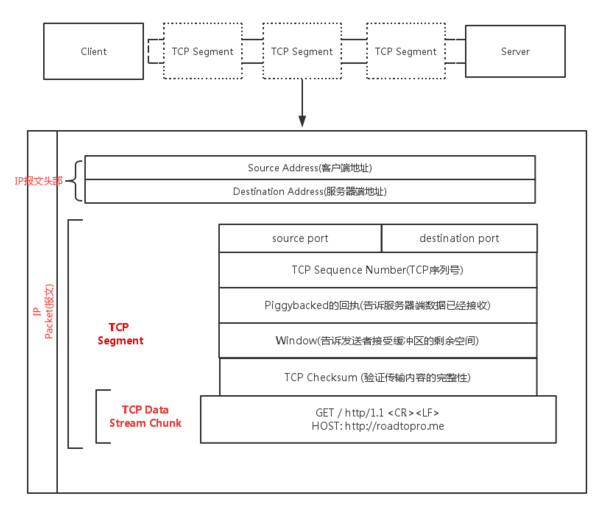 IP报文