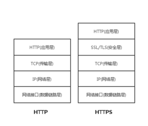 网络模型中TCP/IP所处的位置